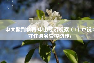 中大紫荆教育(中山经济观察（1）卢锐：守住财务管控防线)
