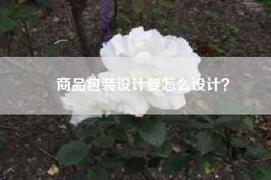 商品包装设计要怎么设计？