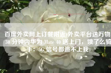 百度外卖网上订餐附近(外卖平台送万物！30 分钟内华为 Mate 40 送上门，饿了么骑手：5G 信号都追不上我)