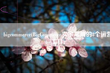 bigcommerce(BigCommerce卖家常用的8个运营工具)