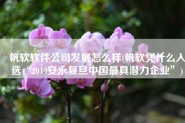 帆软软件公司发展怎么样(帆软凭什么入选“2019安永复旦中国最具潜力企业”)