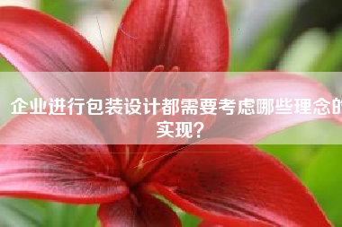 企业进行包装设计都需要考虑哪些理念的实现？