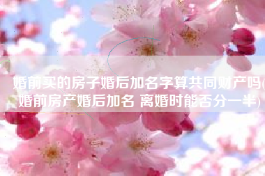 婚前买的房子婚后加名字算共同财产吗(婚前房产婚后加名 离婚时能否分一半)