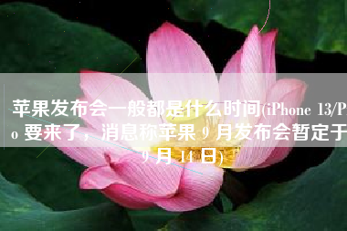 苹果发布会一般都是什么时间(iPhone 13/Pro 要来了，消息称苹果 9 月发布会暂定于 9 月 14 日)