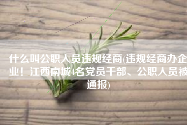 什么叫公职人员违规经商(违规经商办企业！江西南城4名党员干部、公职人员被通报)
