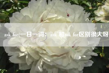 ask for(一日一词：ask 和ask for区别很大呀)