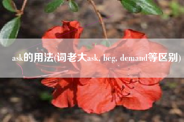 ask的用法(词老大ask, beg, demand等区别)