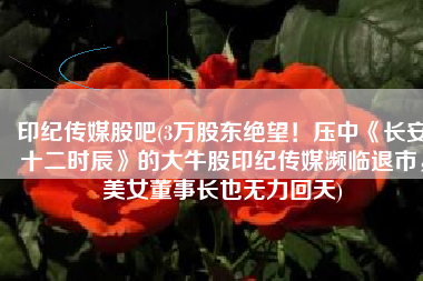 印纪传媒股吧(3万股东绝望！压中《长安十二时辰》的大牛股印纪传媒濒临退市，美女董事长也无力回天)