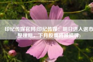 印纪传媒官网(印纪传媒：明日进入退市整理期，下月股票将被摘牌)
