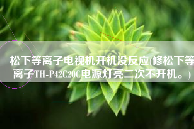 松下等离子电视机开机没反应(修松下等离子TH-P42C20C电源灯亮二次不开机。)