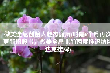 微美全息创始人赵杰履历(时隔6个月再次更新招股书，微美全息此前两度推迟纳斯达克挂牌)