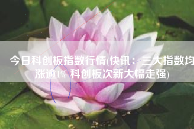 今日科创板指数行情(快讯：三大指数均涨逾1% 科创板次新大幅走强)