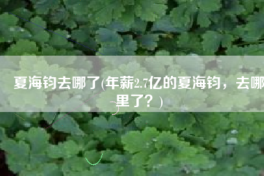 夏海钧去哪了(年薪2.7亿的夏海钧，去哪里了？)