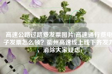 高速公路过路费发票图片(高速通行费电子发票怎么领？衢州高速线上线下齐发力，消除大家疑虑)