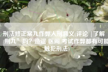 刑法修正案九作弊入刑意义(评论 |了解“刑九”吗？造谣 医闹 考试作弊都有可能触犯刑法)