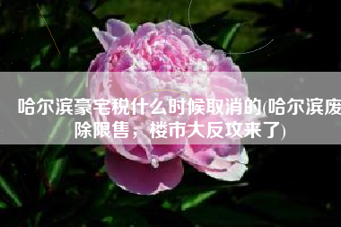 哈尔滨豪宅税什么时候取消的(哈尔滨废除限售，楼市大反攻来了)