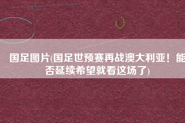 国足图片(国足世预赛再战澳大利亚！能否延续希望就看这场了)