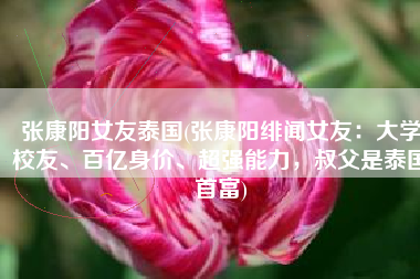 张康阳女友泰国(张康阳绯闻女友：大学校友、百亿身价、超强能力，叔父是泰国首富)