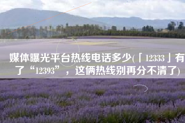 媒体曝光平台热线电话多少(「12333」有了“12393”，这俩热线别再分不清了)