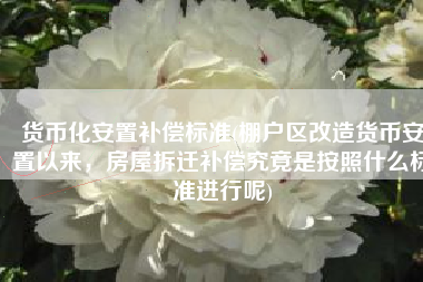 货币化安置补偿标准(棚户区改造货币安置以来，房屋拆迁补偿究竟是按照什么标准进行呢)