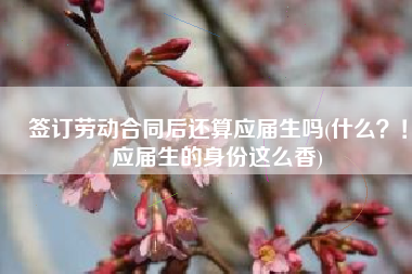 签订劳动合同后还算应届生吗(什么？！应届生的身份这么香)