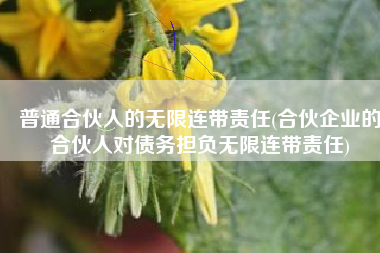 普通合伙人的无限连带责任(合伙企业的合伙人对债务担负无限连带责任)