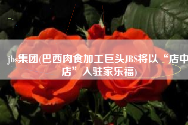 jbs集团(巴西肉食加工巨头JBS将以“店中店”入驻家乐福)