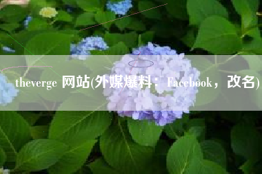 theverge 网站(外媒爆料：Facebook，改名)