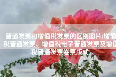 普通发票和增值税发票的区别图片(增值税普通发票、增值税电子普通发票及增值税普通发票卷票版式)