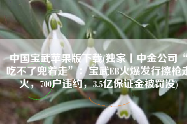中国宝武苹果版下载(独家丨中金公司“吃不了兜着走”：宝武EB火爆发行擦枪走火，700户违约，3.5亿保证金被罚没)
