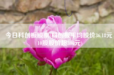 今日科创板股票(科创板平均股价36.18元，10股股价超300元)