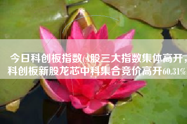今日科创板指数(A股三大指数集体高开，科创板新股龙芯中科集合竞价高开60.31%)