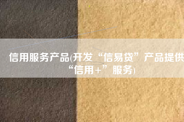 信用服务产品(开发“信易贷”产品提供“信用+”服务)