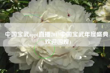 中国宝武app(直播2019中国宝武年度盛典，欢迎围观)