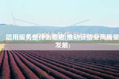 信用服务是什么意思(推动征信业高质量发展)