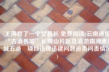 王涛救了一个女县长 免费阅读(云南通报“古滇名城”长腰山片区及滇池南湾未来城五渔邨项目违规违建问题追责问责情况)