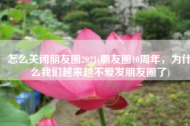 怎么关闭朋友圈2021(朋友圈10周年，为什么我们越来越不爱发朋友圈了)