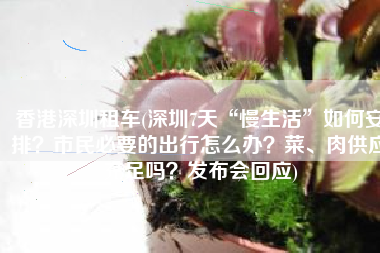 香港深圳租车(深圳7天“慢生活”如何安排？市民必要的出行怎么办？菜、肉供应充足吗？发布会回应)