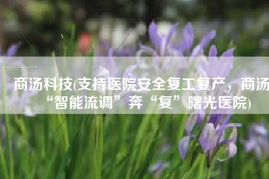 商汤科技(支持医院安全复工复产，商汤“智能流调”奔“复”曙光医院)