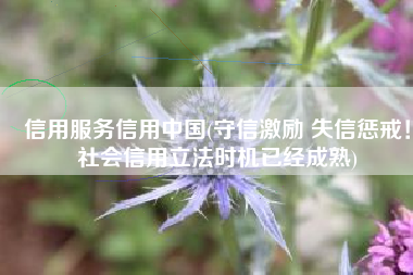 信用服务信用中国(守信激励 失信惩戒！社会信用立法时机已经成熟)