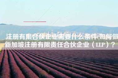 注册有限合伙企业需要什么条件(如何做新加坡注册有限责任合伙企业（LLP）？)