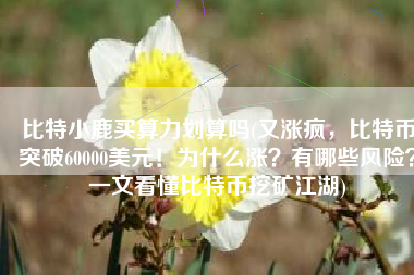 比特小鹿买算力划算吗(又涨疯，比特币突破60000美元！为什么涨？有哪些风险？一文看懂比特币挖矿江湖)