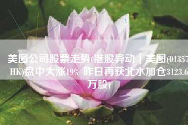 美图公司股票走势(港股异动｜美图(01357.HK)盘中大涨19% 昨日再获北水加仓3123.6万股)