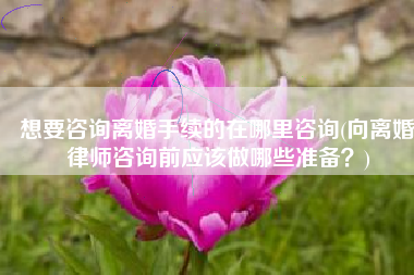 想要咨询离婚手续的在哪里咨询(向离婚律师咨询前应该做哪些准备？)