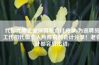 代扣代缴企业所得税会计分录(为返聘员工代扣代缴个人所得税的会计分录！老会计都容易出错)