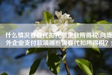 什么情况要要代扣代缴企业所得税(向境外企业支付款项哪些需要代扣所得税？)