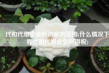 代扣代缴企业所得税的范围(什么情况下要代扣代缴企业所得税)
