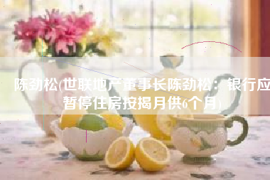 陈劲松(世联地产董事长陈劲松：银行应暂停住房按揭月供6个月)