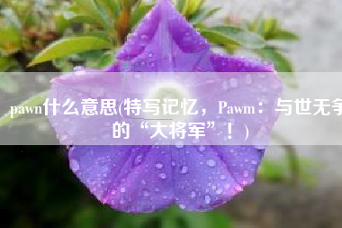 pawn什么意思(特写记忆，Pawm：与世无争的“大将军”！)
