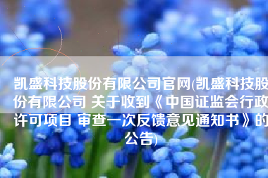 凯盛科技股份有限公司官网(凯盛科技股份有限公司 关于收到《中国证监会行政许可项目 审查一次反馈意见通知书》的公告)